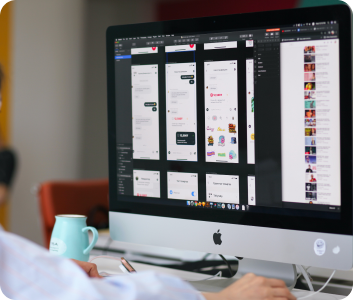 Audit & Support Plan